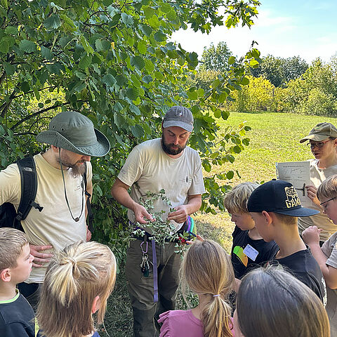 Wer wohnt in der Hecke? Die Ranger des Naturparks Niederlausitzer Landrückens klären die Kinder auf.