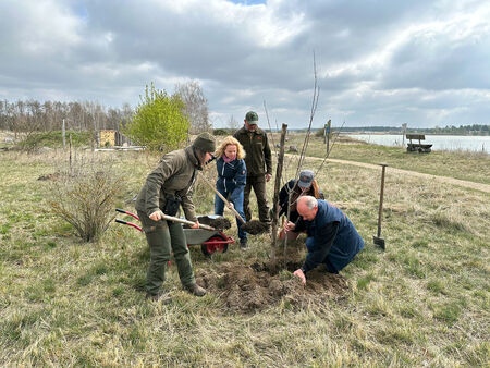 Mitarbeitende der Heinz Sielmann Stiftung, der Naturwacht Brandenburg und des Energieversorgers enviaM pflanzten zum Projektstart gemeinsam einen Baum